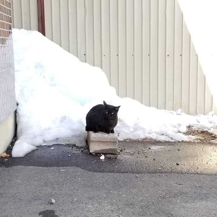 Ce5fd02c 0d35 4067 8614 bafb8eab1a2e 1584508038355