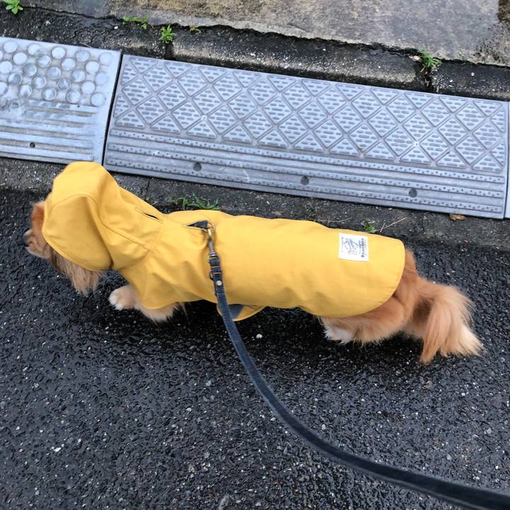 Ce5febad dc46 404b 8903 bc03c3e9ed0b 1529269392500