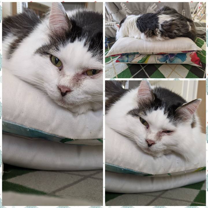 Ce5ff1d3 bde0 4132 b020 3cd590a83a28 1613615801422