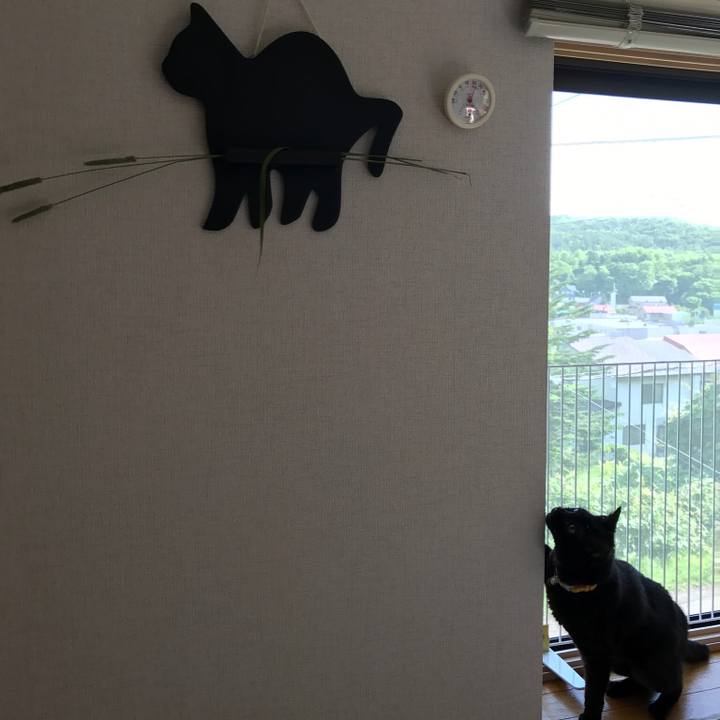 Ce6021fa b9b4 47e6 a329 98f0e5df5446 1561245390944