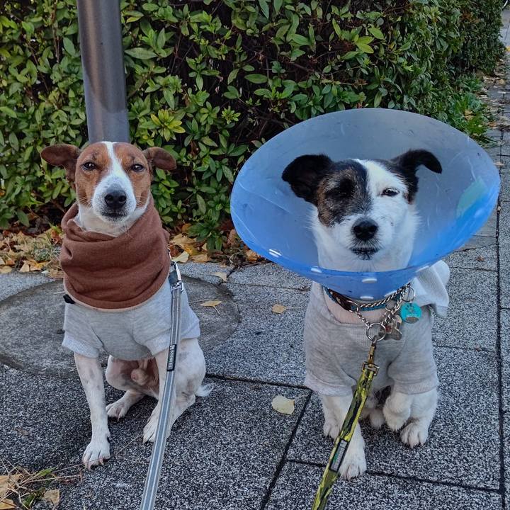 Ce608725 0f0c 46fb bfd8 357b933e160c 1670368241228