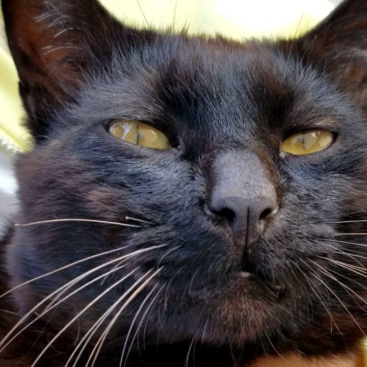 Ce608a58 528c 4ef1 b254 8a5ee33fcfc7 1686494241979