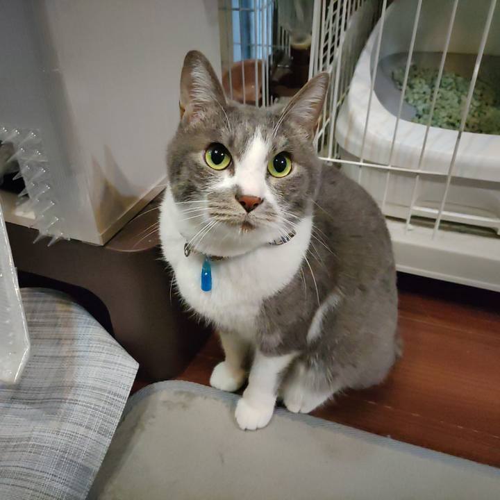 Ce608f16 bb6d 42ab 9eb7 c00dc39998dd 1707865468925