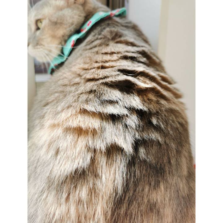 Ce60c155 71da 407a 9624 39e255b74883 1666324394366