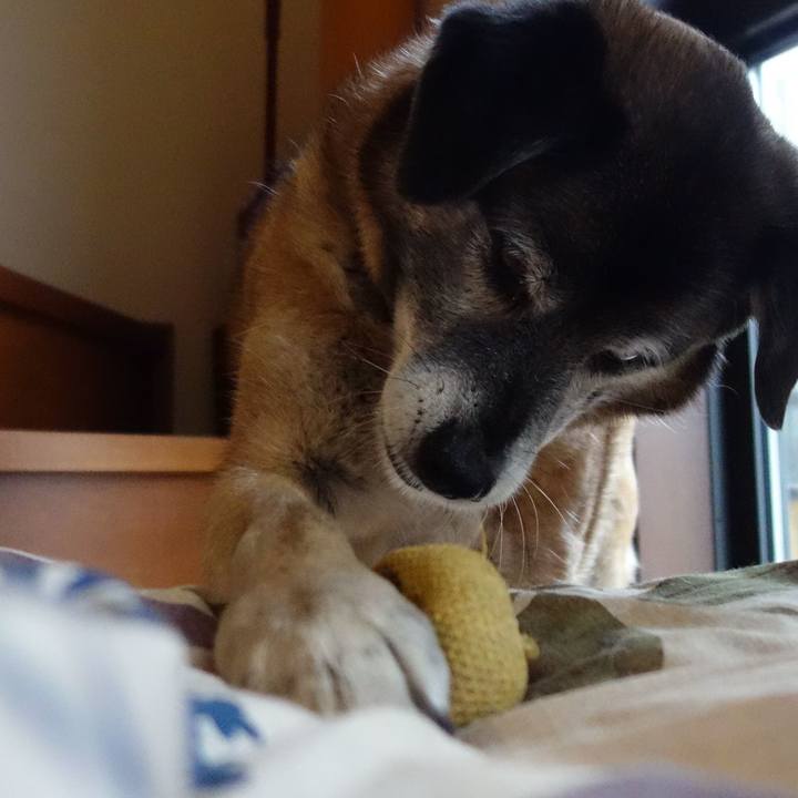 Ce60d719 405e 4047 98eb 8a2b0b63456e 1557657381036