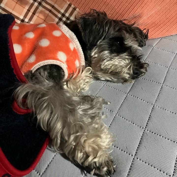 Ce60e5d9 ca68 493b bc64 68e78a50b01c 1739631566086