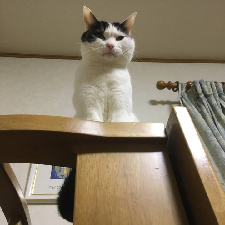 Ce611060 d8a7 4d1a 92be cca9b8b5b7af 1540218649854