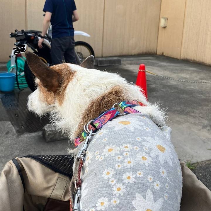 Ce611240 c201 45a3 953a 704e49573dbf 1687476320128