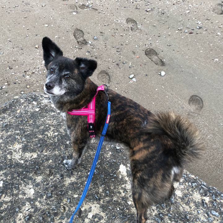 Ce611301 1df9 4d35 9547 a006517305ab 1647312416875