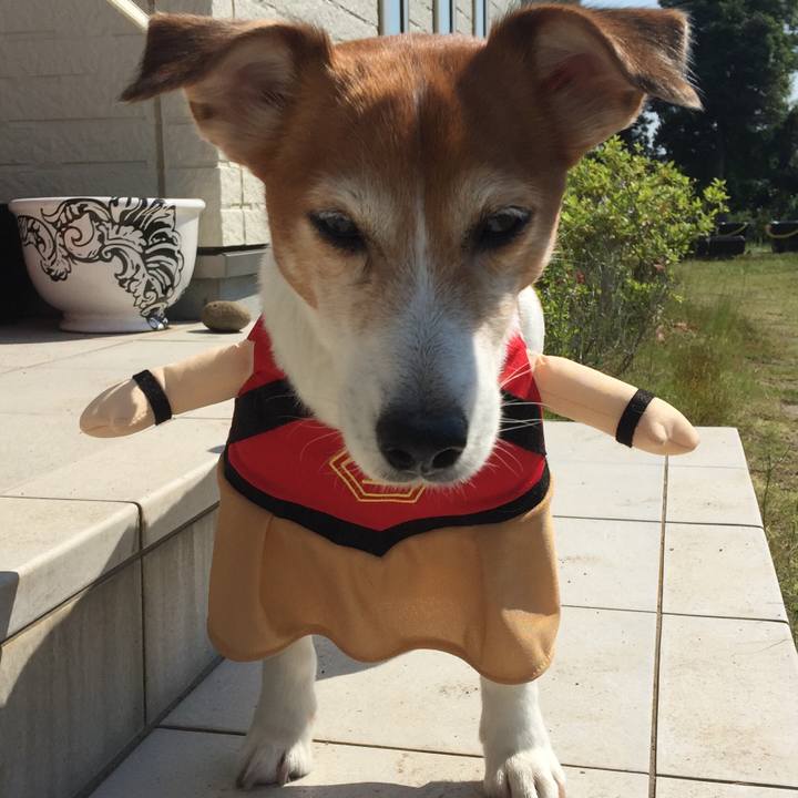 Ce612486 35c6 44cc a0c5 0757d0f0f691 1525569207066