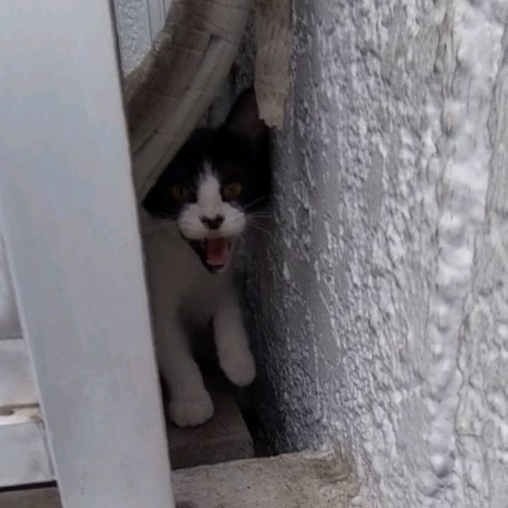 Ce61be33 efd8 46a6 8047 436e06df10db 1629534059454