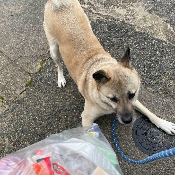 Ce61f9b1 e867 4bd2 b848 84a025451a04 1647261890309