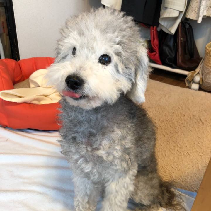 Ce62297e a066 459b a310 fc9afbbfb57c 1563231942637