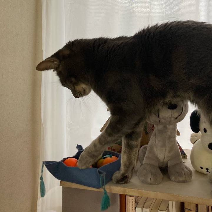 Ce624769 040b 4c23 bd16 680b4fbb97b0 1672640533773