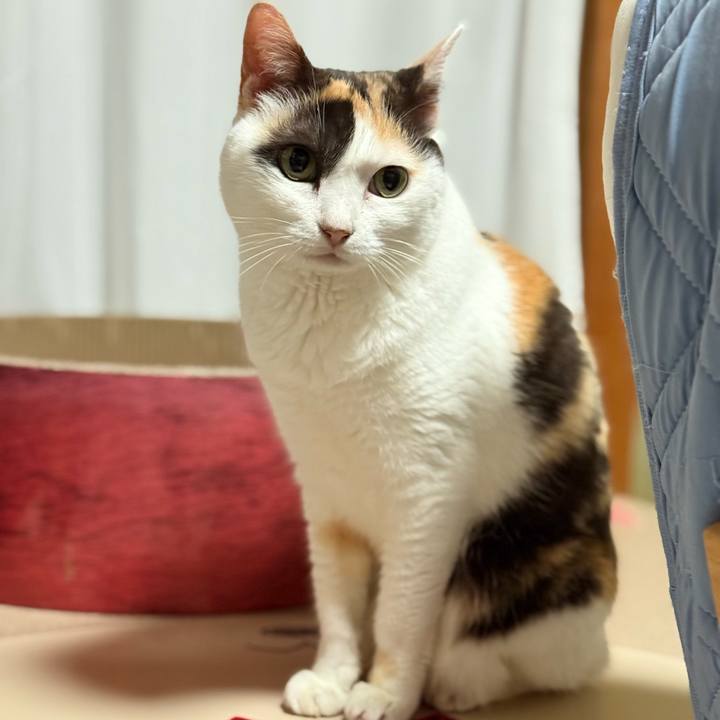 Ce62644e 3312 4095 a254 1db90b48952a 1751510306474