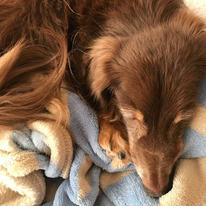 Ce62699d 1148 4888 b5c2 68a724a59eac 1514171625185