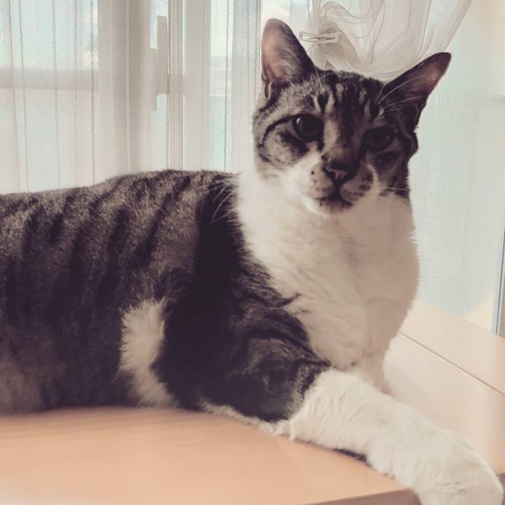 Ce62a5e7 21e3 4314 b828 b928e20f99f7 1698927578940