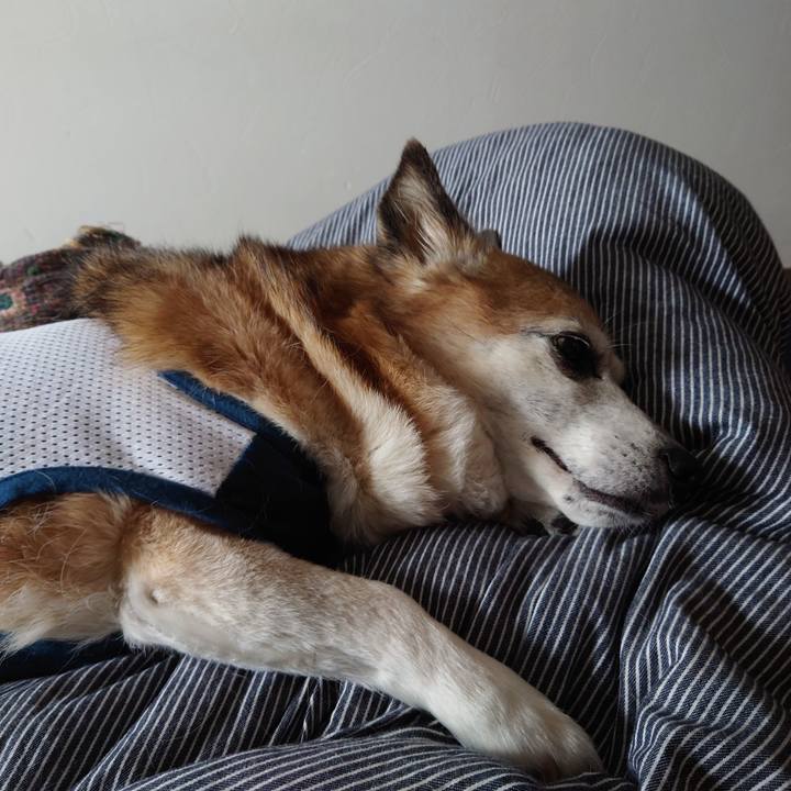 Ce62ffa2 a564 4398 bb8f 7bd13fc45696 1718352807412