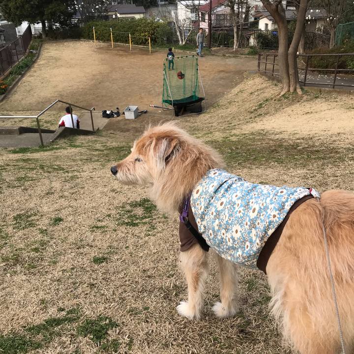 Ce6334cd 0981 42d8 aa5c 04b0b7b5e47a 1552721222510