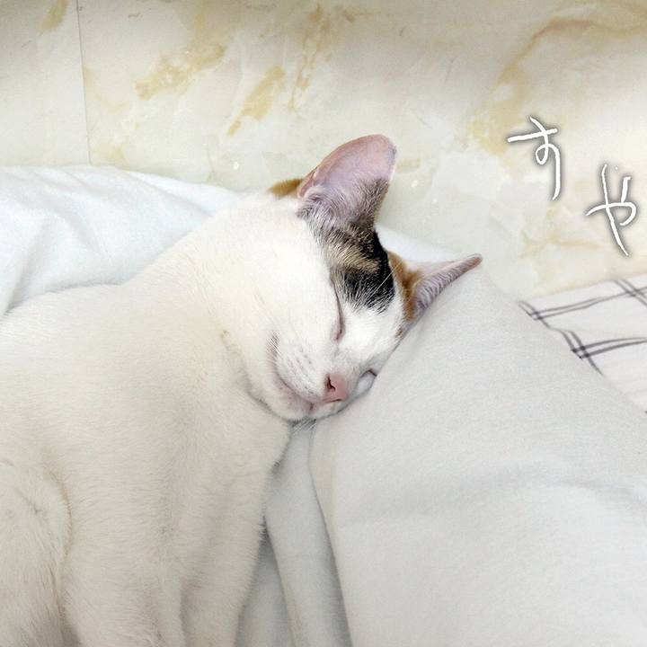 Ce636102 813d 4823 8bfc d63f253ac748 1590488126355