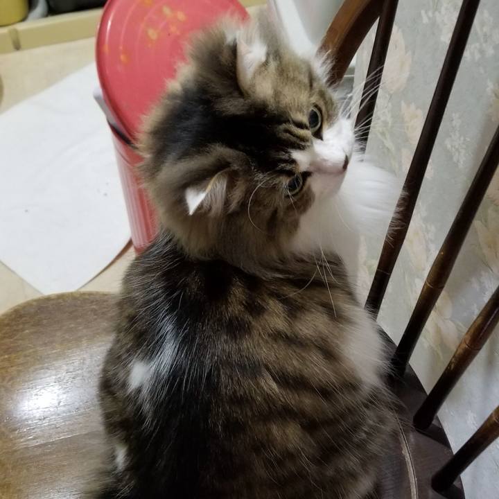 Ce638961 553c 487b a549 72717d6e2d08 1550783832300