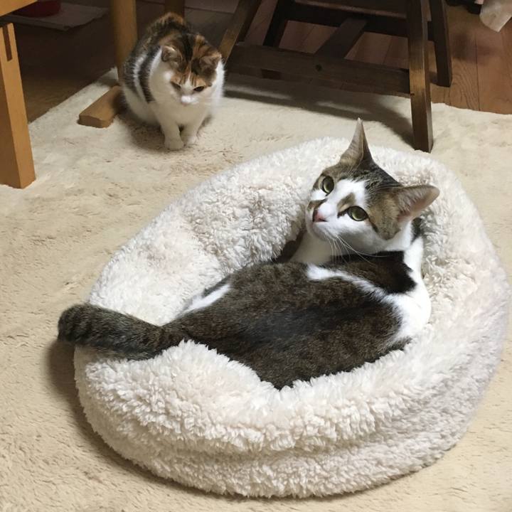 Ce63c8a5 9af7 4104 9f91 1b10dee84e87 1514329378103