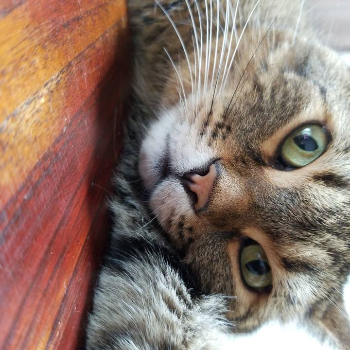 Ce63d437 e8d7 4196 afda d36c0e8b4727 1569017792168