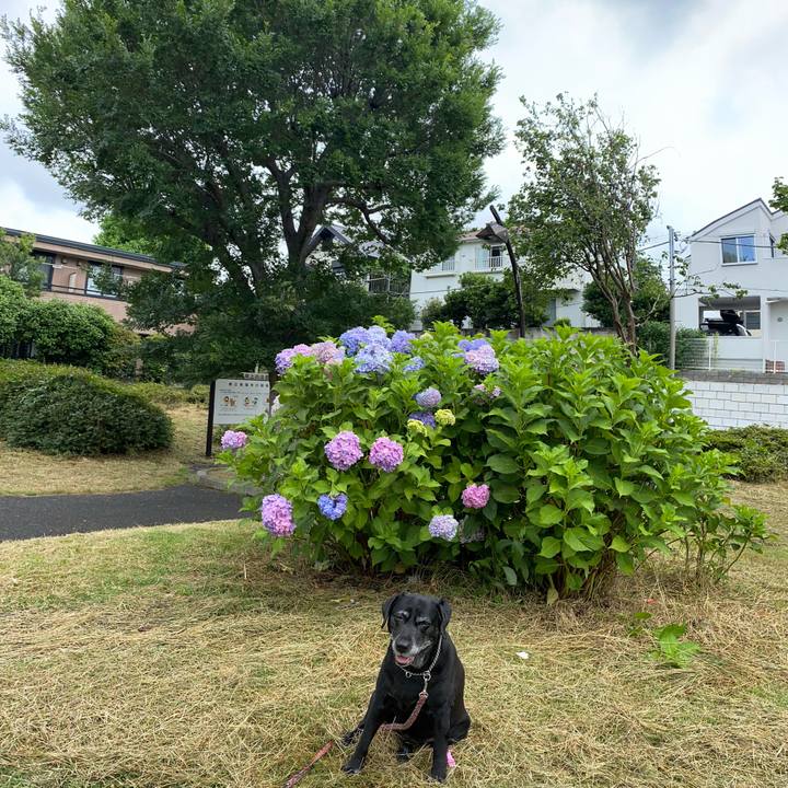 Ce640a65 2e9f 4616 b4f8 e206652e64a0 1624977689295