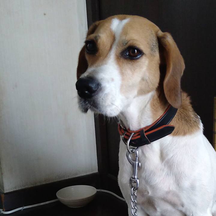 Ce64273d 3c90 4af7 9e37 674a40d66261 1630472095015