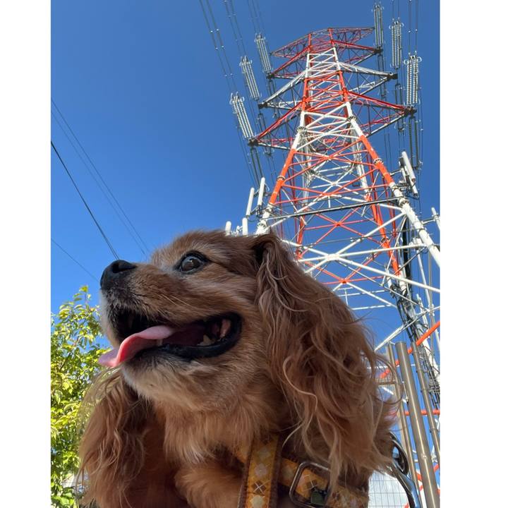 Ce6457b4 8992 4995 bc80 88aa78997c7f 1758413273698