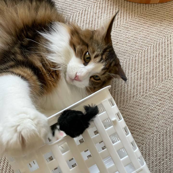 Ce64982f 7dd8 4dee 82f7 1d684a7adfd1 1653514441893