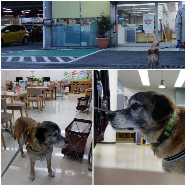 Ce649a37 412a 4dac b066 292e0cd8a174 1555120124606