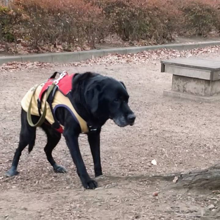 Ce64a3ba 1b38 4bd2 b101 c2ff8ae4b3ab 1705621902830