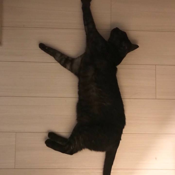 Ce64bd1a 114f 4468 a5b9 df34f2520f91 1658392164555