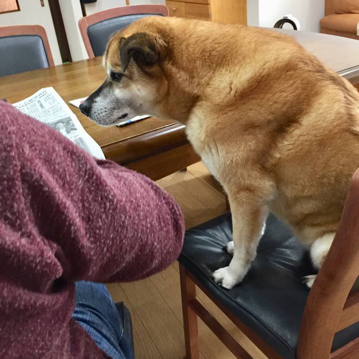 Ce64c696 3334 46a1 8ff2 9c396c68b2b1 1585872570667