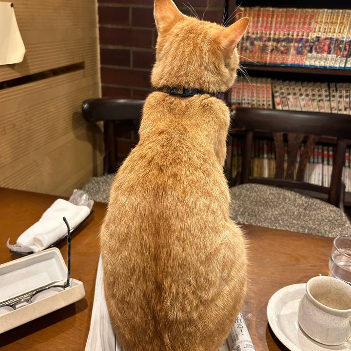 Ce64cfcb 1f9c 47a8 b6be 6c20312c4a8c 1709561142240