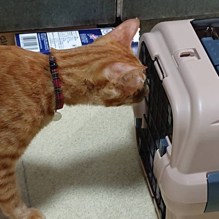 Ce64d04b dc29 411c 884f 430a90f52754 1593569092822