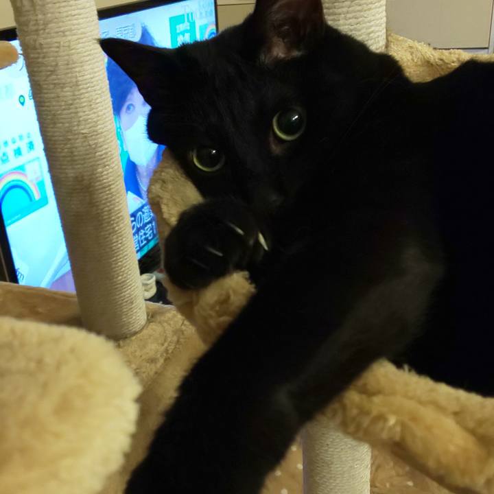 Ce64fb42 c901 4e9a abea bb39b2dd92b0 1647044369359