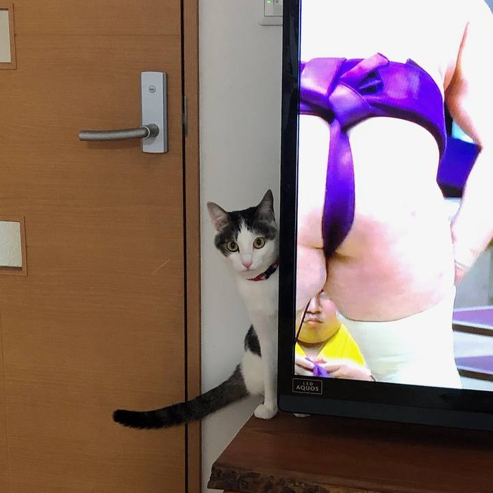 Ce6506a8 9cc6 4eb3 ae57 968405c2c517 1605081129745