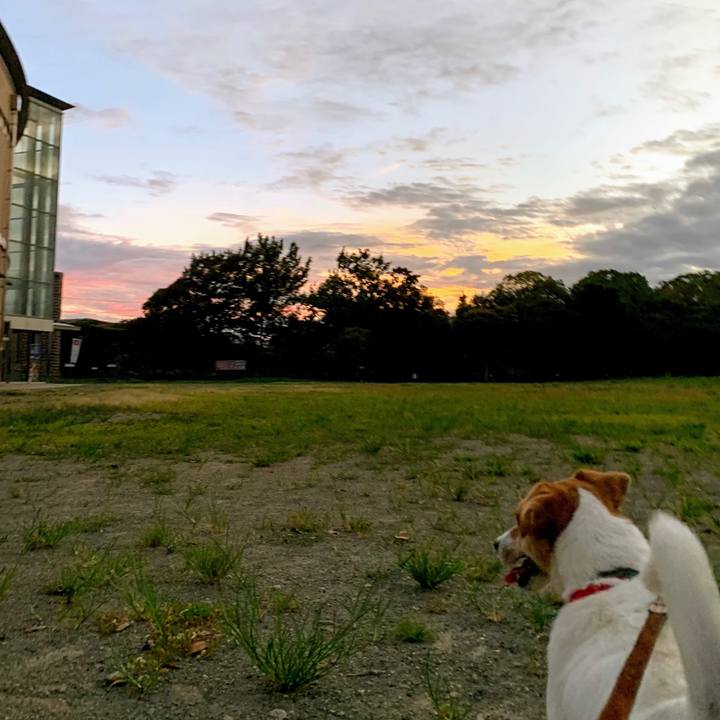 Ce650765 89e3 48c1 8b11 a4fda7a82416 1565003754049