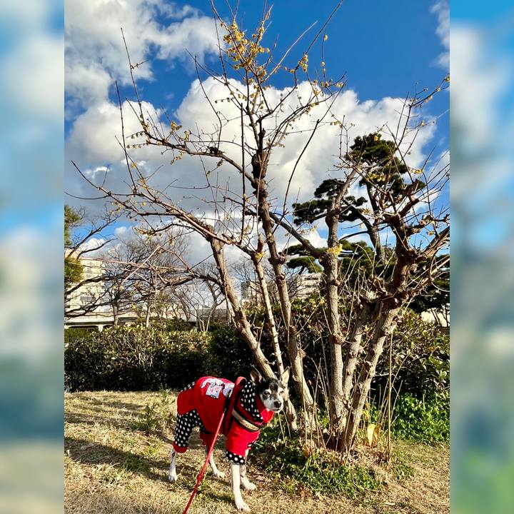 Ce6556ad efc6 43e6 8414 c21b9355f5ca 1644568809380