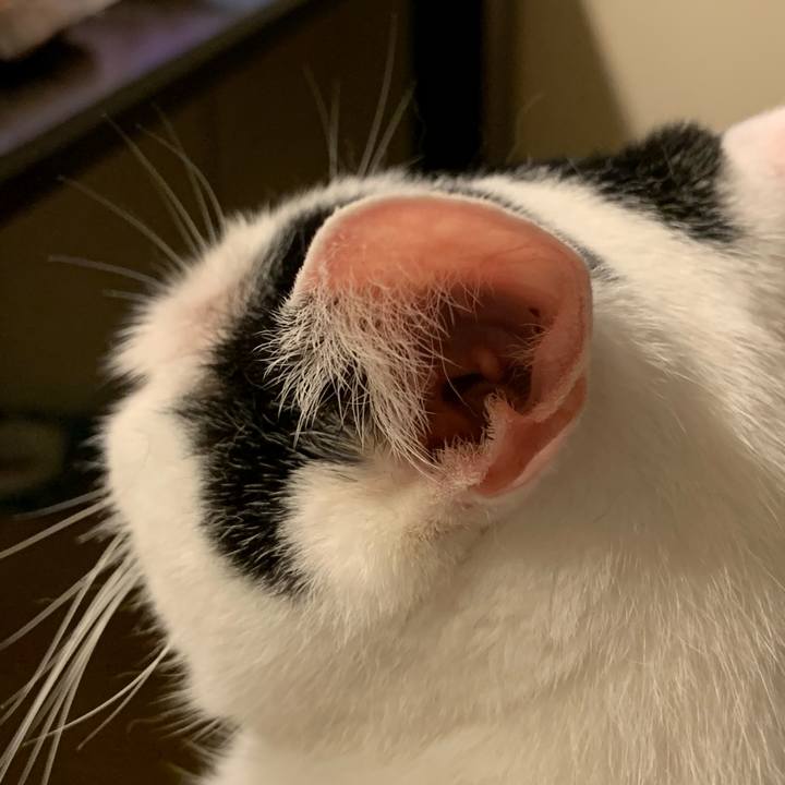 Ce6590d5 e018 4886 9de2 7bd179ac9ac8 1753624059841