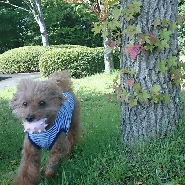 Ce65b13e be9a 4033 9e93 45e67ad4cdd4 1536886188169