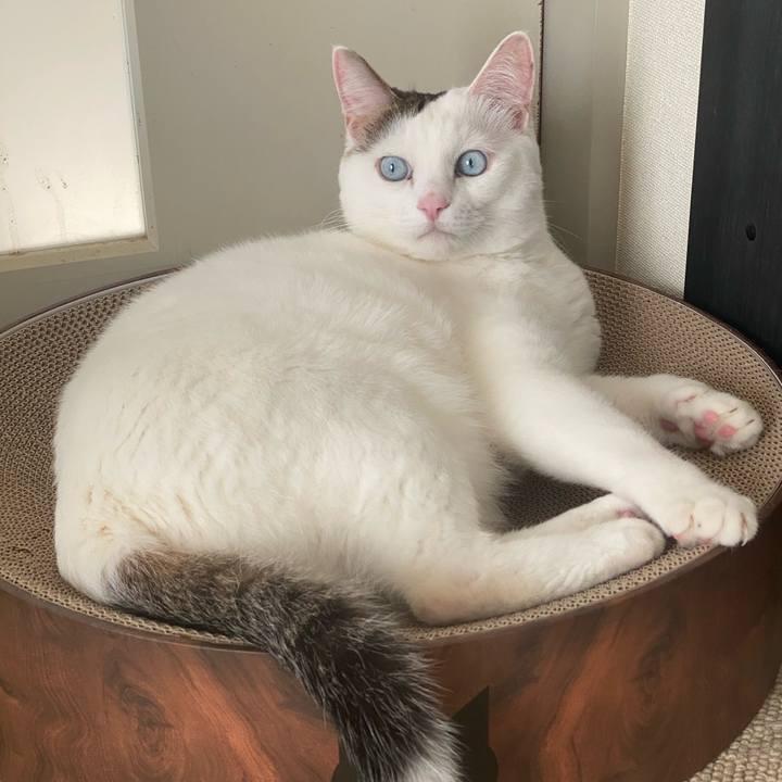 Ce65c3de ea18 4e53 babc 1af799fc2cfb 1733798903928