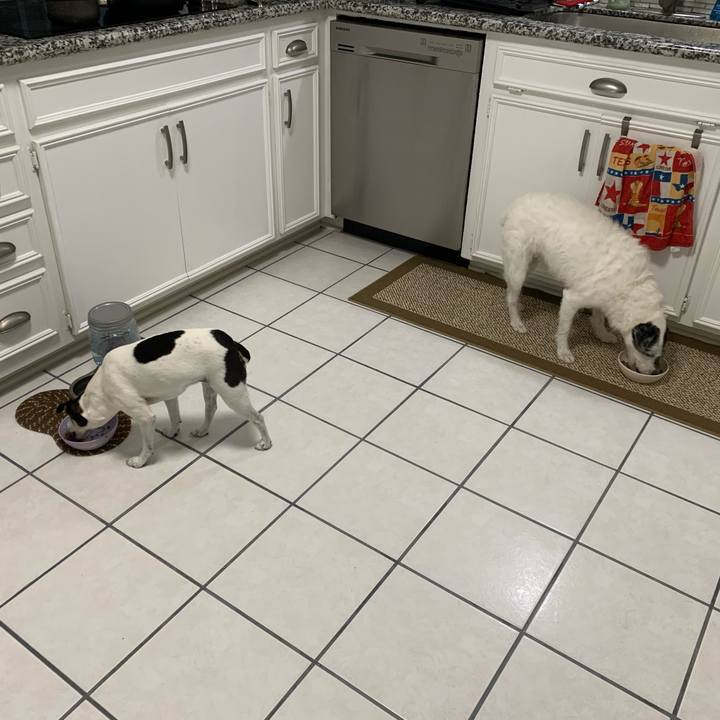 Ce65e9a5 b269 4a14 a8f6 ae1beff525e8 1593468202336