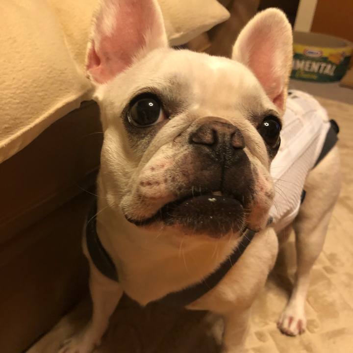 Ce6601f5 ae32 4652 a121 94e4bbb50417 1566308863627