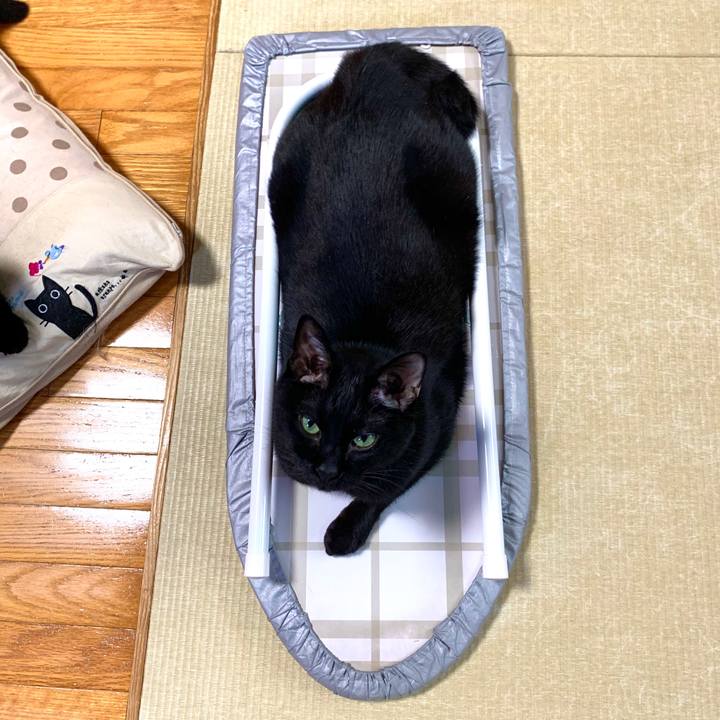 Ce663ab0 ad79 4fb5 b4aa d66da8ae8f82 1594175540387