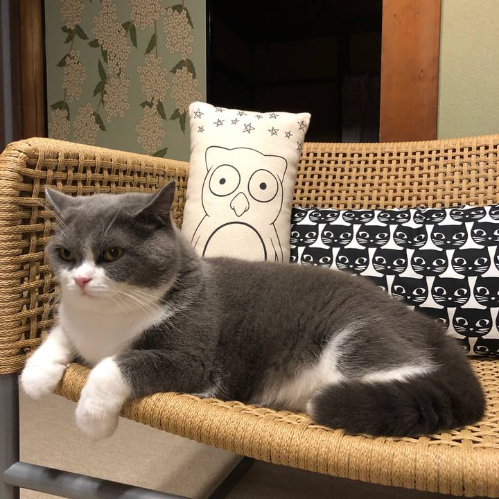 Ce665661 de77 4080 83c5 a34551f40454 1566740922617