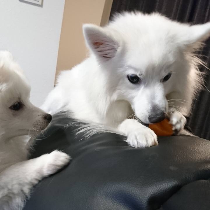 Ce665ba5 b12a 40a5 83fd 7c985e47be59 1547117081286