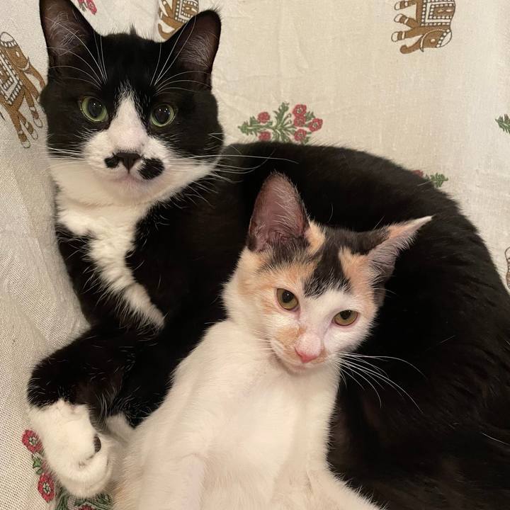 Ce666c7d a604 456f b169 3265d26a0c5e 1663505152232